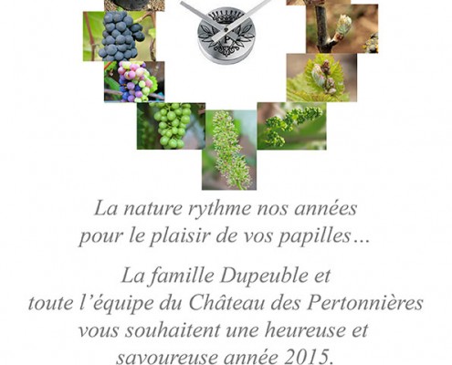 Beaujolais Dupeuble Meilleurs Voeux pour 2015
