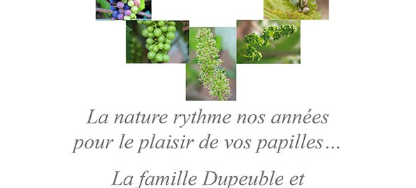 Beaujolais Dupeuble Meilleurs Voeux pour 2015
